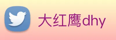 大红鹰dhy Logo